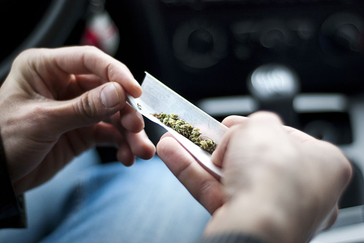 47% de la población avala consumo de marihuana medicinal