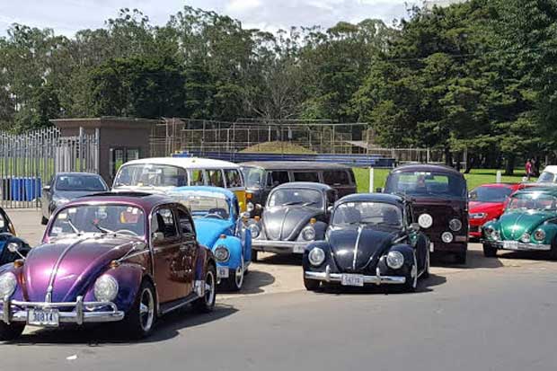 Boquete se alista para el Vocho Fest Panamá 2026