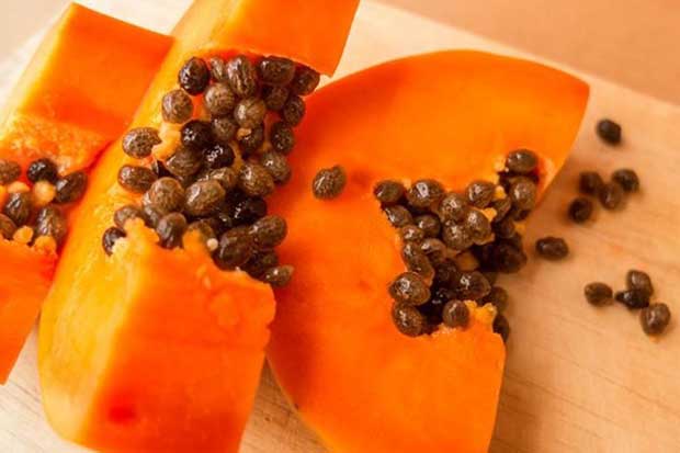 Científicos de UCR clonarán “papaya perfecta” y producirán plantas hermafroditas