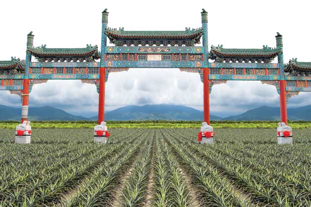 Objetivo China: Piña busca balance comercial entre países - Periodico ...