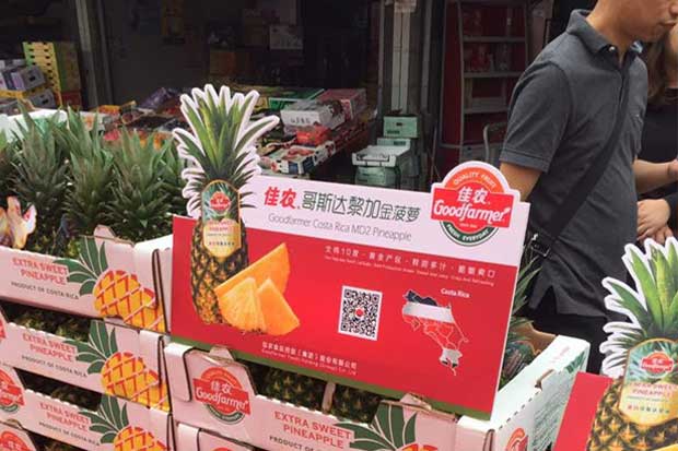 Piña nacional ya se comercializa en China - Periodico La República