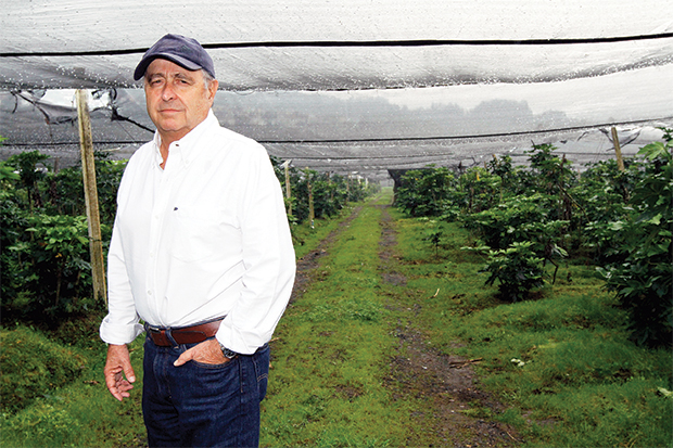 Inocuidad Alimentaria estadounidense reta a exportadores ticos