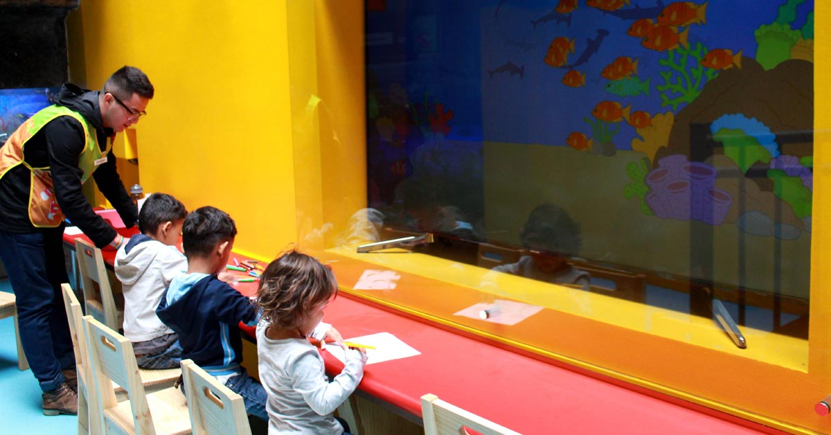 Museo de los Niños remozó su “Zona Marina”