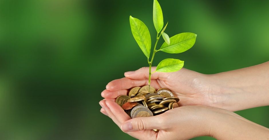 Banco Popular ha colocado más de ¢8 mil millones en proyectos verdes