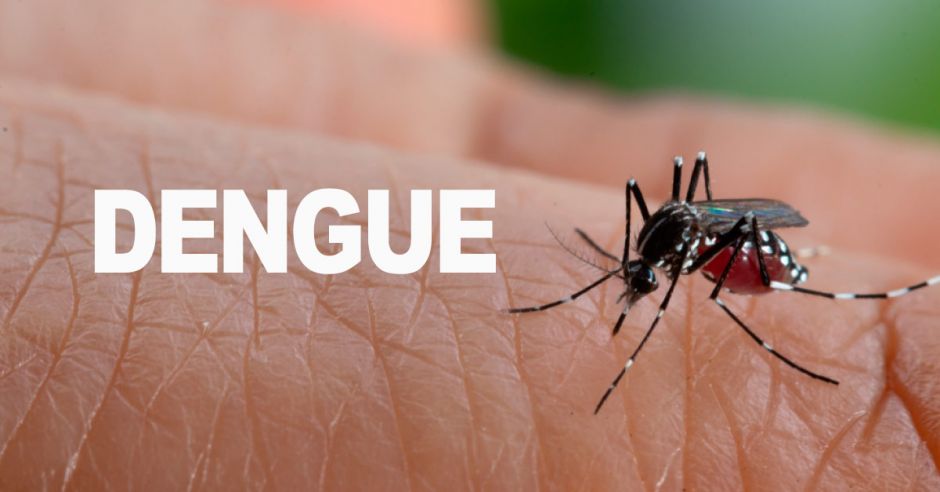 Aumento de enfermos en Honduras y Nicaragua por dengue enciende las alertas