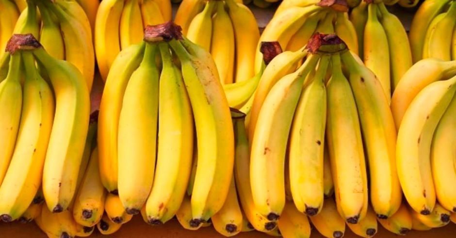 Costa Rica refuerza medidas ante presencia de hongo del banano en Colombia