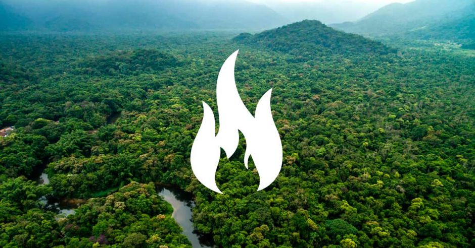 Selva de la Amazonia se está quemando a una velocidad récord