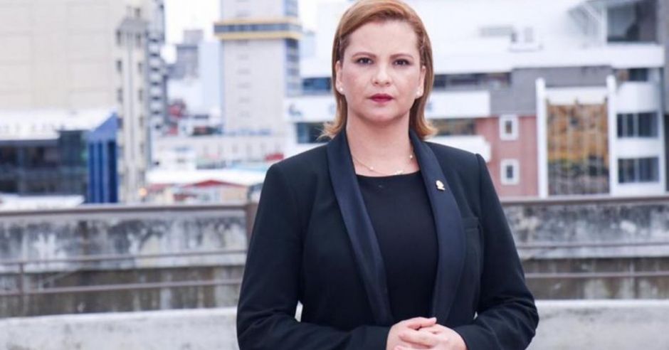 Carmen Chan propone proyecto que generaría más recursos para Migración ...