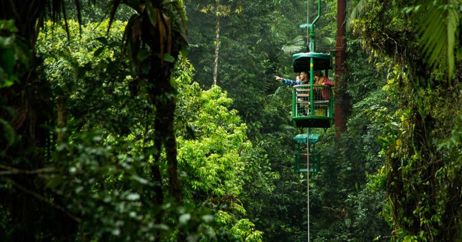 Rainforest Adventures reabrirá sus puertas con tarifas especiales para personal de la salud
