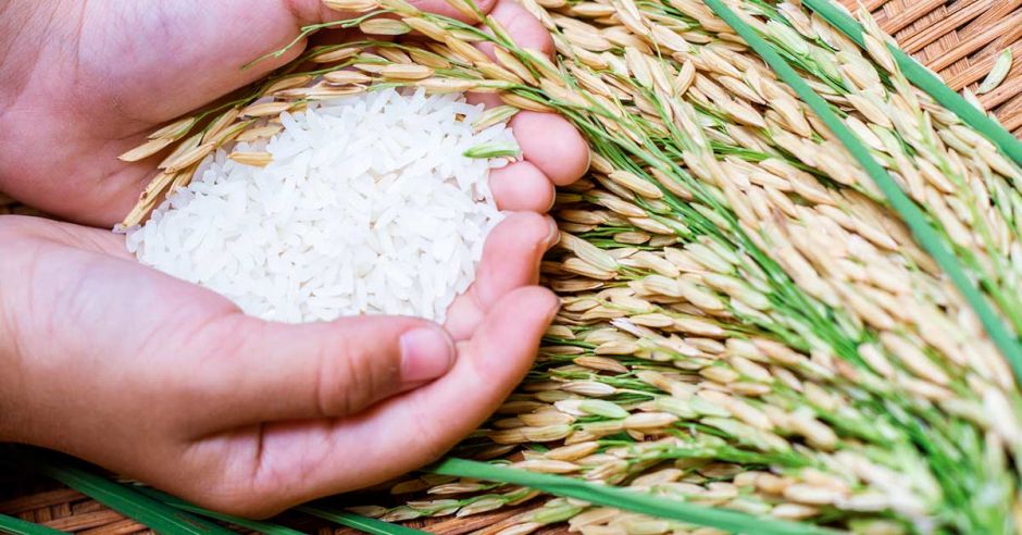 Como una desprotección a los consumidores, califican acuerdo de mantener el precio del arroz