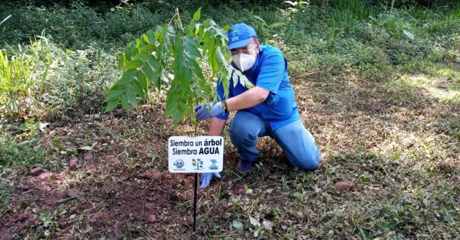 Federación de surf siembra 200 árboles en orillas de río para mejorar la salud de las costas