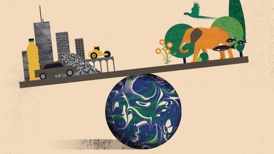 ¿Cómo se calcula el peso de todo lo que hay en el mundo? (y qué significa que lo creado por los humanos pese más que los seres vivos)