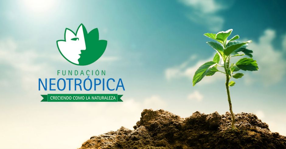 Fundación Neotrópica plantea reapertura a mediano plazo, luego de cese de operaciones