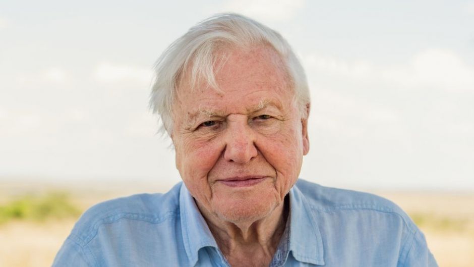 Cambio climático: la advertencia de David Attenborough antes de que sea "demasiado tarde" para salvar al planeta