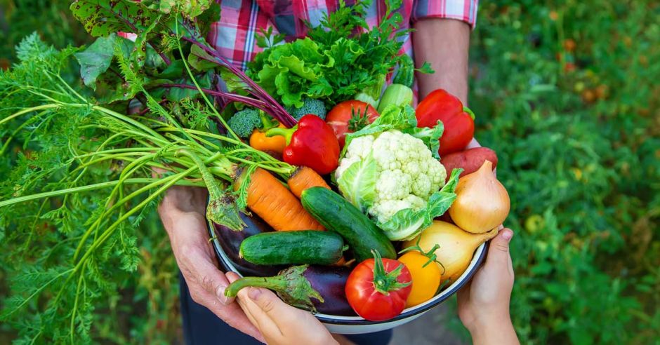 Ante crisis de contenedores Defensoría propone establecer sistemas alimentarios sostenibles