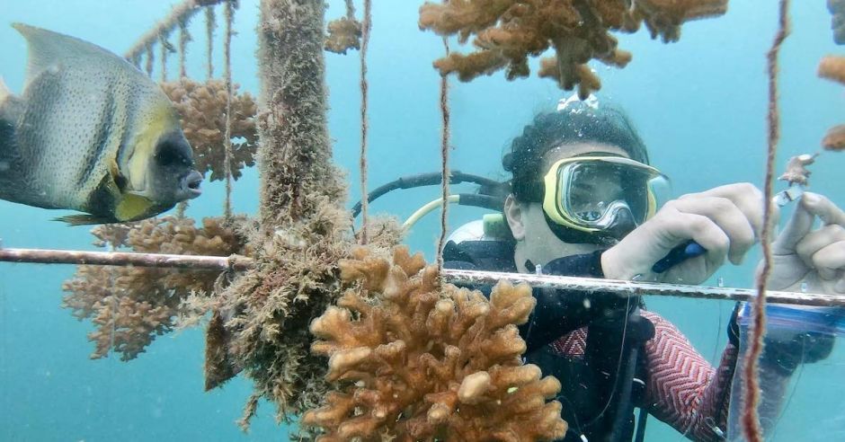 Costa Rica inaugura el primer sendero submarino sostenible en Golfo Dulce