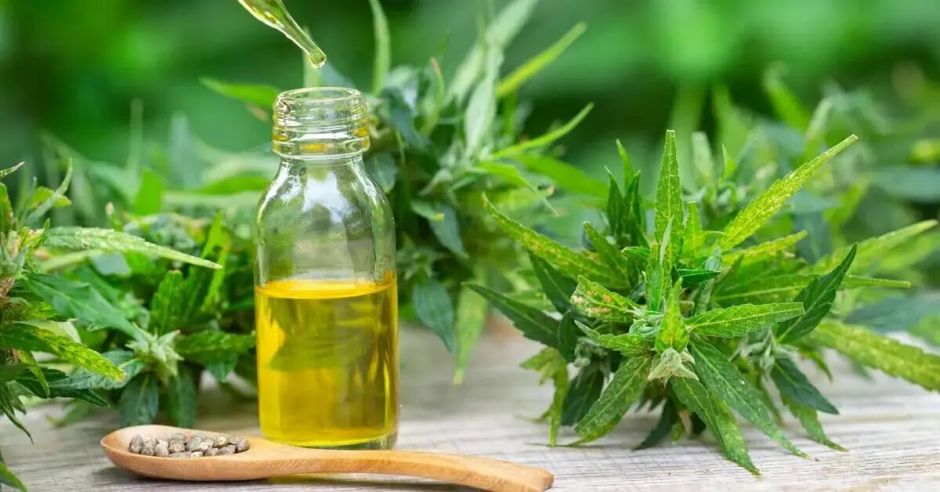 INA capacita sobre cultivo de cannabis y cáñamo