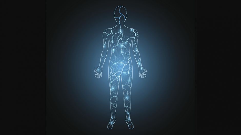 Qué es el &quot;electroma&quot;, la red bioeléctrica del cuerpo humano que los científicos apenas comienzan a investigar (y cómo puede revolucionar el tratamiento del cáncer)
