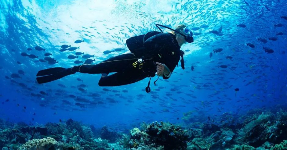 Isla del Coco es uno de los mejores destinos del mundo para bucear