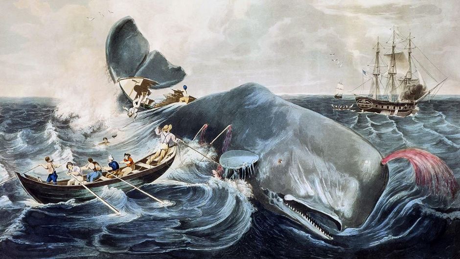 Moby Dick y la verdad sobre la historia que inspiró la aclamada novela de Herman Melville