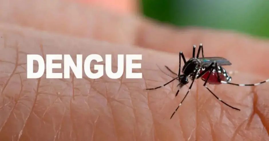 ¡Cuídese del dengue! Entregan repelentes y toldos en clínicas y Ebais de todo el país