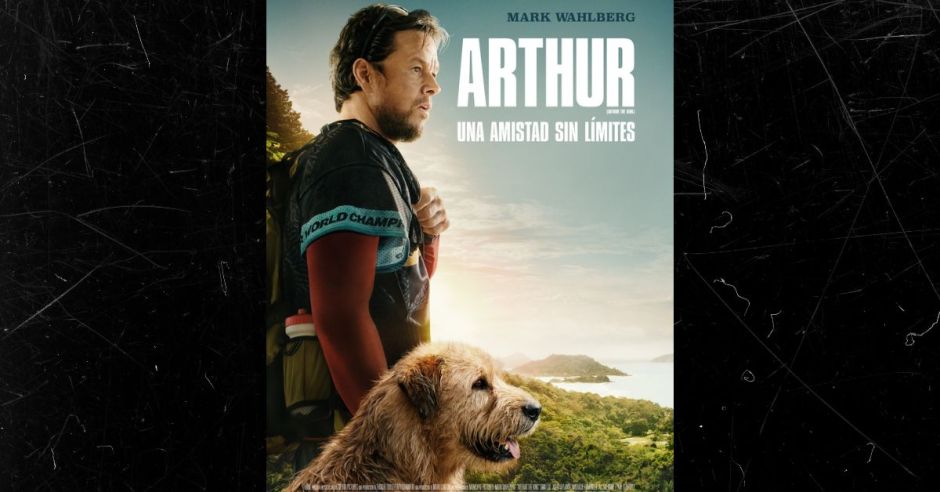 (Video) Mark Wahlberg protagoniza emotiva película sobre la vida de un perro callejero