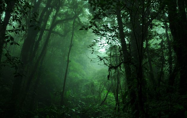 Monteverde