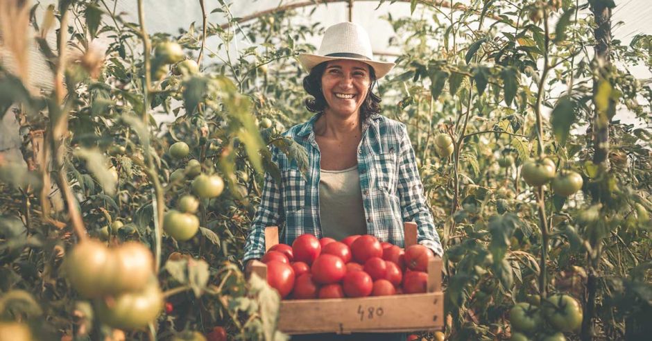 Casi 800 empresas agropecuarias recibieron galardón Bandera Azul Ecológica en 2024