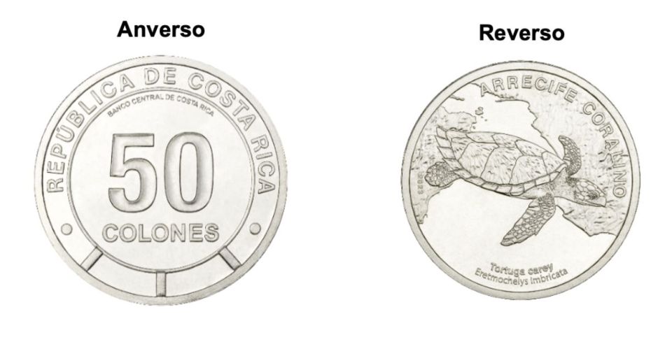 (Video) Nueva moneda de ₡50 con diseño de tortuga carey estará disponible desde el 26 de mayo