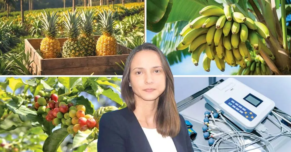 Piña, banano, café y dispositivos médicos tendrán una reducción de exportaciones entre 8% y 19% por aranceles de EE.UU.