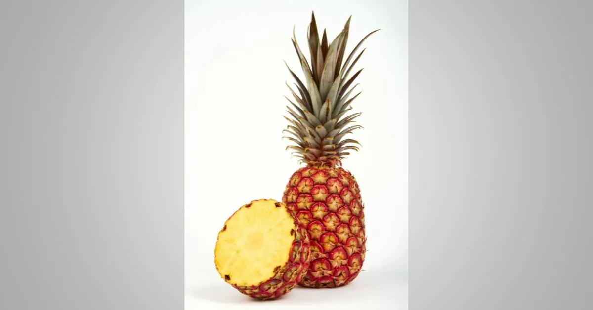 Piña de Costa Rica nombrada Mejor Innovación Alimentaria 2025 ...