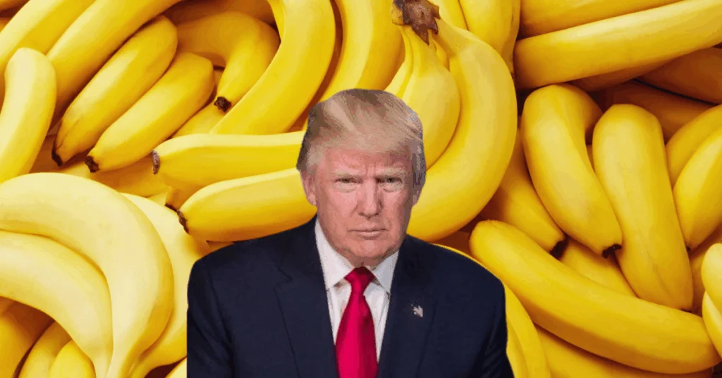 EE.UU. suspende aranceles a productos agrícolas ticos como piña, banano y café
