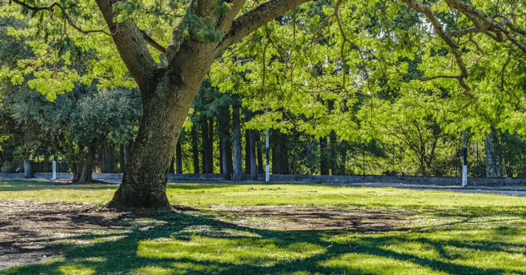 Santa Ana estrena Parque Natural Urbano Lorne Ross