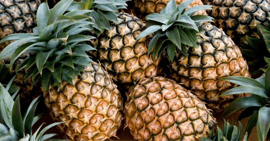 Costa Rica es el mayor exportador de piña del mundo - Periodico La ...