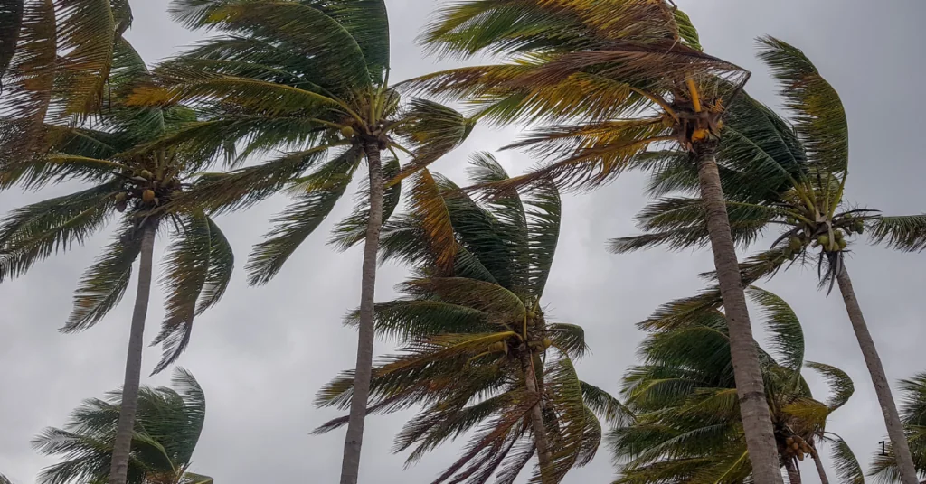 Vientos fuertes con ráfagas de hasta 90 km/h marcarán el clima de este domingo en Costa Rica